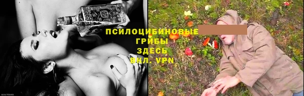 герыч Алексин