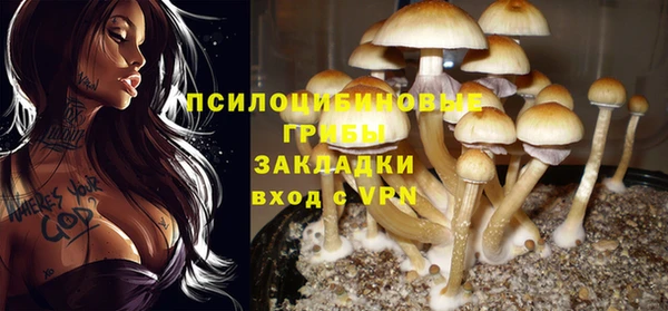 герыч Алексин