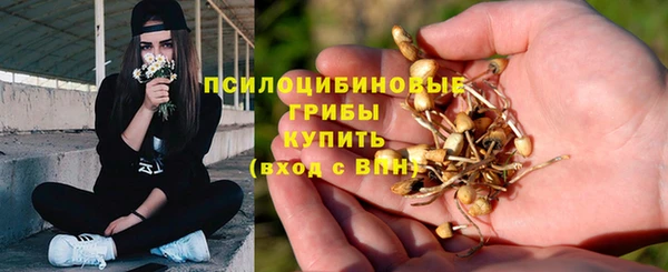 герыч Алексин