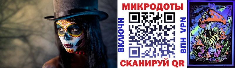 Псилоцибиновые грибы Cubensis  Петровск-Забайкальский 